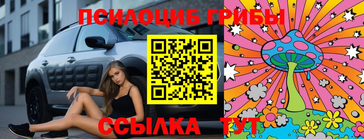Псилоцибиновые грибы ЛСД Вольск