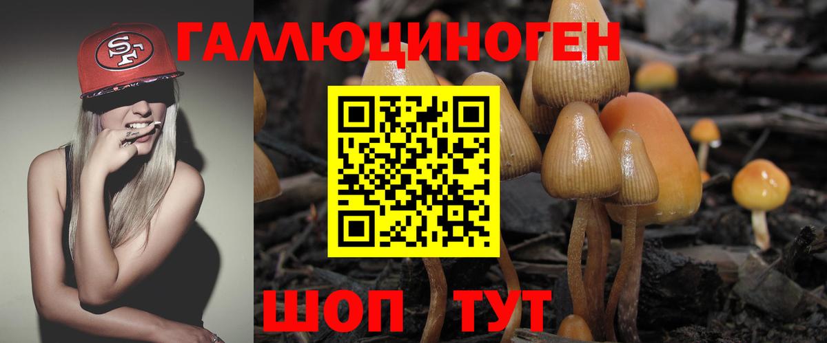 Вольск  Галлюциногенные грибы Psilocybe  Вход с VPN  Псилоцибиновые грибы прущие грибы 